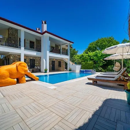 Limon Villa