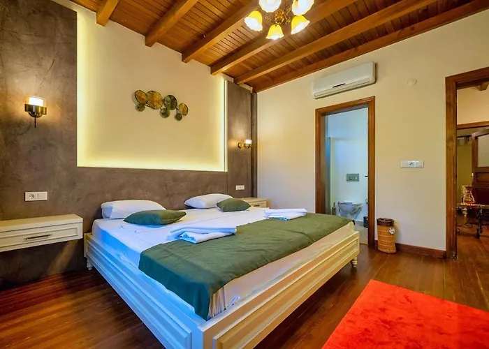 Limon 费特希耶